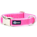 Shocking Pink Velvet Essential Buckle Martingale Dog Collar