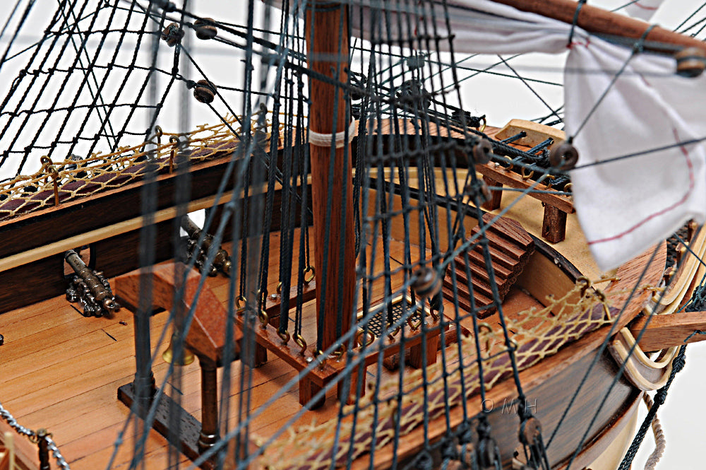 USS Constitution Mid With Display Case Front Open