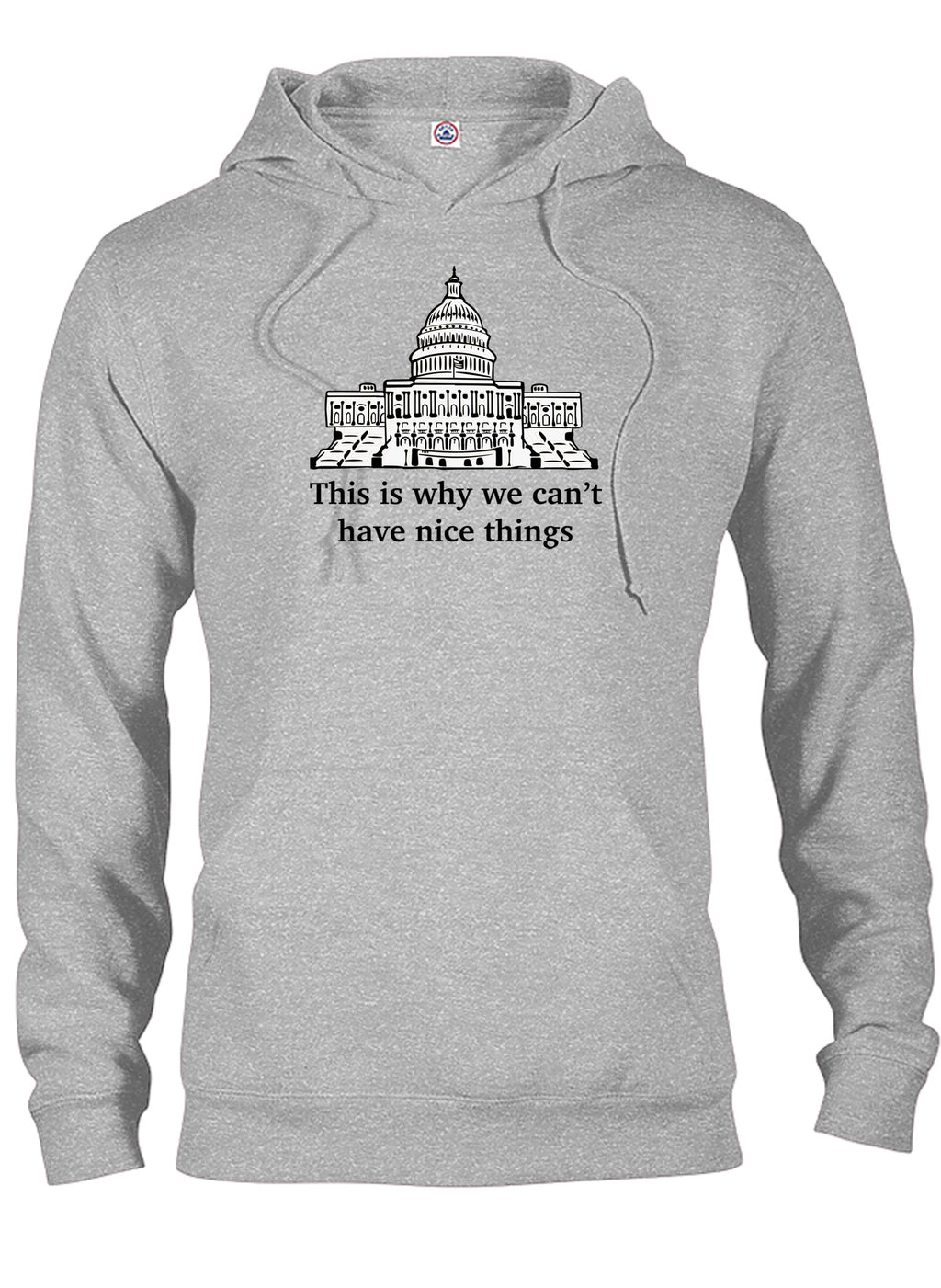 This is why we can’t have nice things T-Shirt