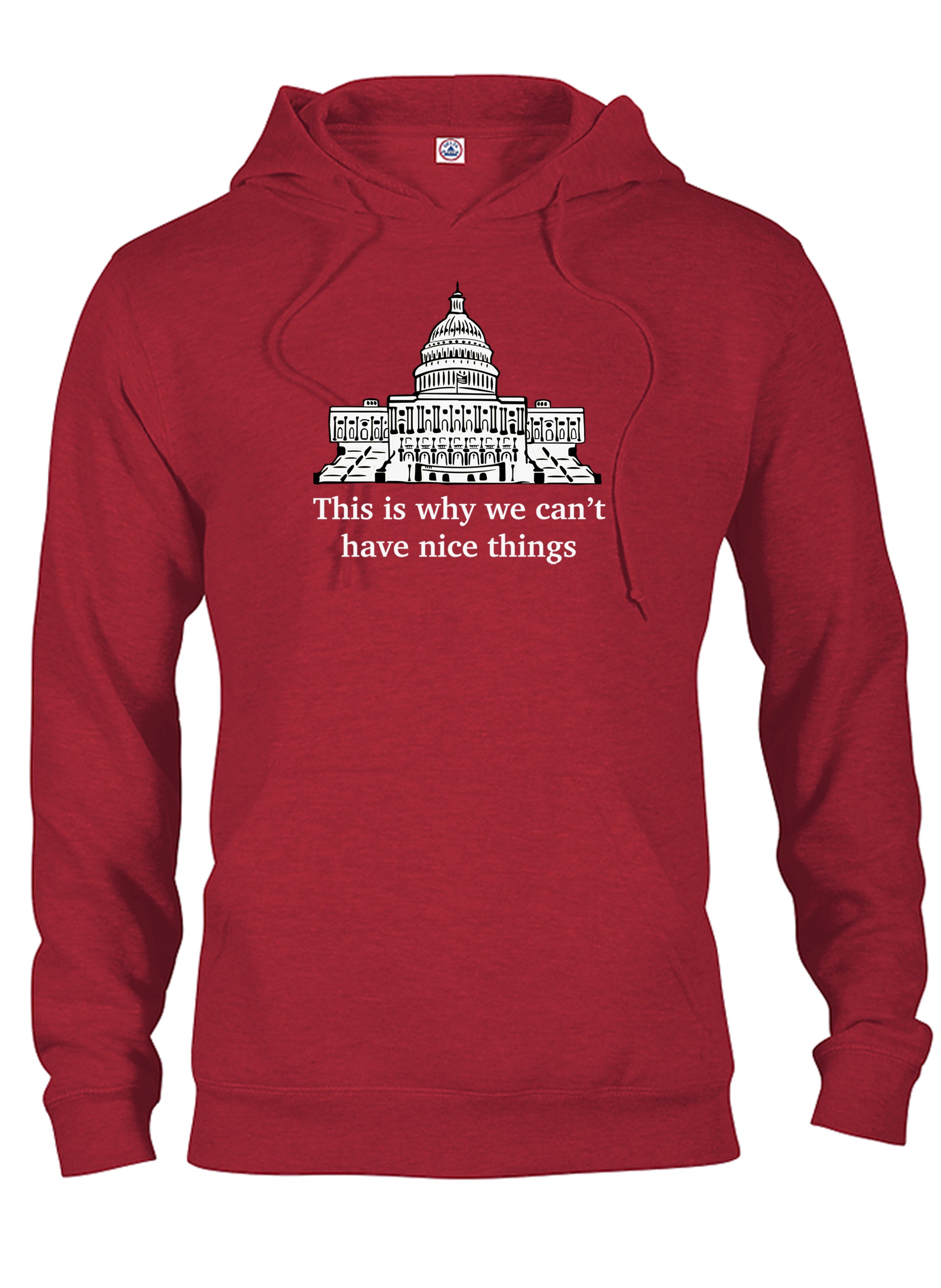 This is why we can’t have nice things T-Shirt