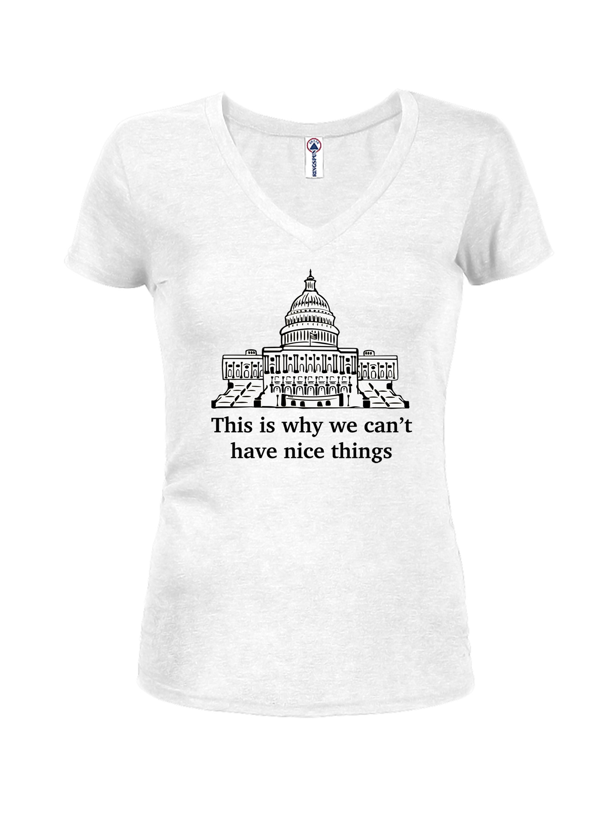 This is why we can’t have nice things T-Shirt