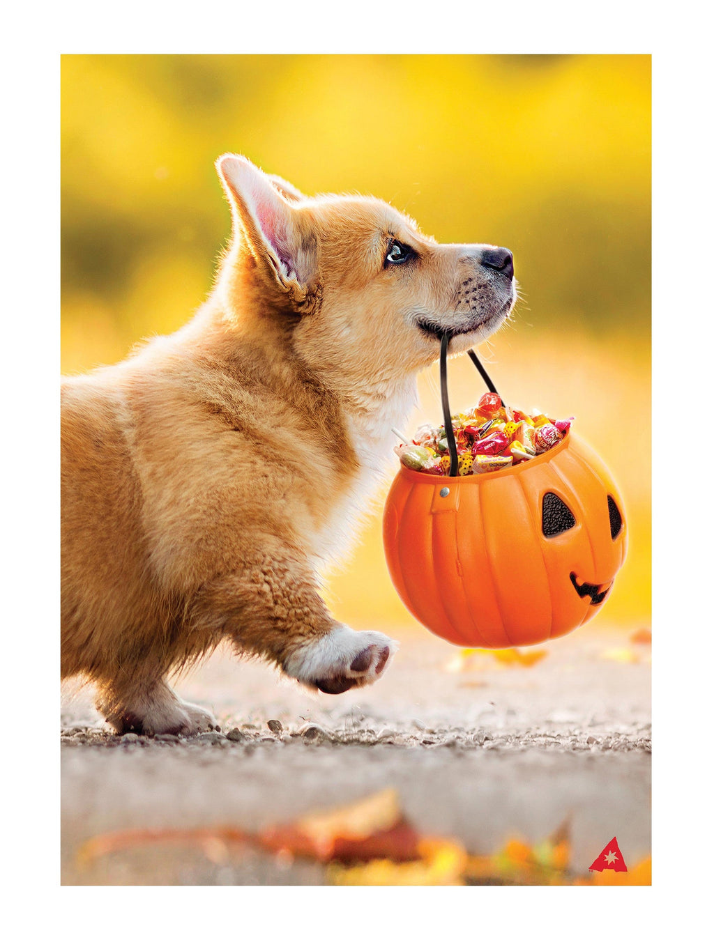 Trick or Treat Puppy 2 Sided Garden Flag
