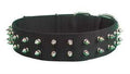 20'' PET COLLAR -  BLACK - SPIKE