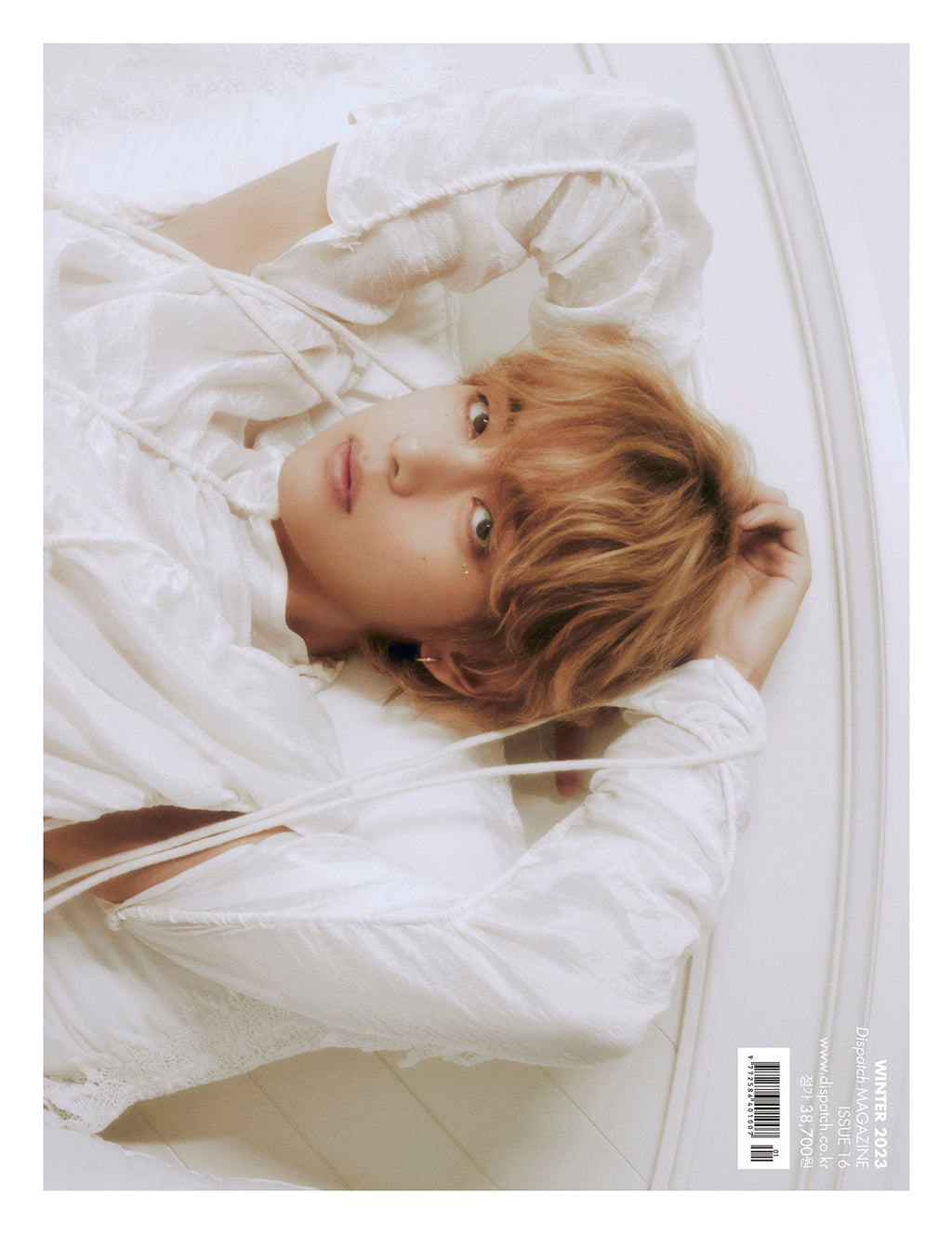 BTS V - Dicon Issue NÂ°16 V : Vicon
