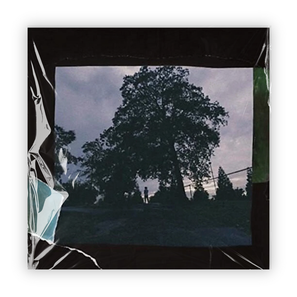 Born Sinner (X) (2LP) & 4 Your Eyez Only & Kod