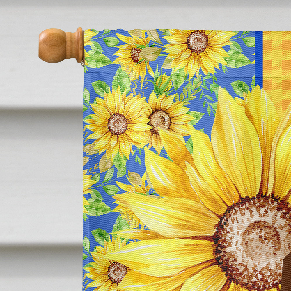 Summer Sunflowers Red and White Border Collie House Flag 28x40 Porch Sleeve Pole Decorative Outside Yard Banner Artwork Wall Hanging, Polyester
