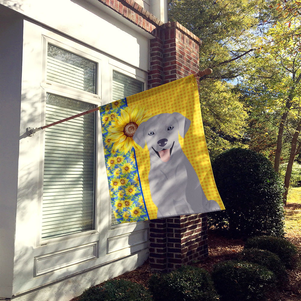 Summer Sunflowers Silver Labrador Retriever House Flag 28x40 Porch Sleeve Pole Decorative Outside Yard Banner Artwork Wall Hanging, Polyester