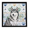 Gray and White Alaskan Malamute Coastal Sea Glass Framed Metal Print Bathroom, Kitchen, Office, Home Decor Wall Art Ready to Hang, Square, 8X8