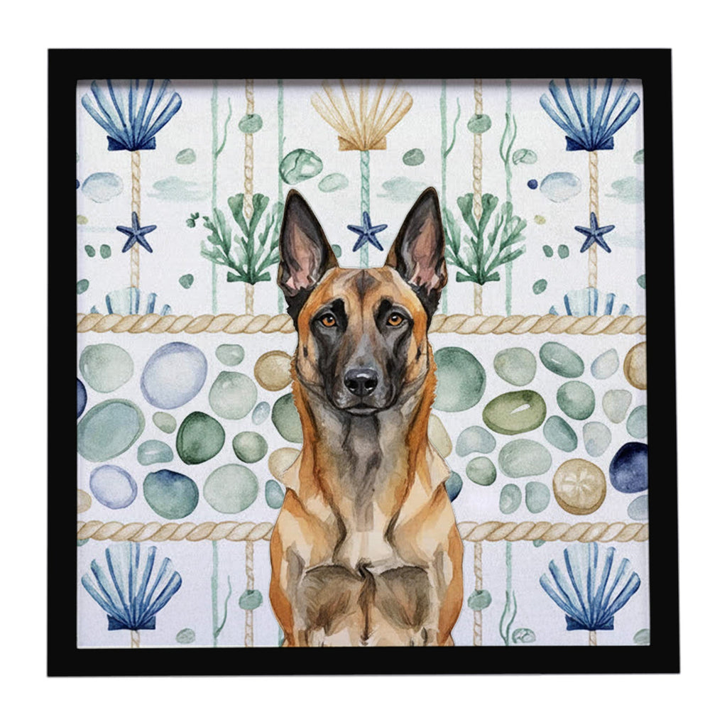 Belgian Malinois Coastal Sea Glass Framed Metal Print Bathroom, Kitchen, Office, Home Decor Wall Art Ready to Hang, Square, 8X8