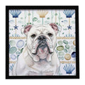 White English Bulldog Coastal Sea Glass Framed Metal Print Bathroom, Kitchen, Office, Home Decor Wall Art Ready to Hang, Square, 8X8
