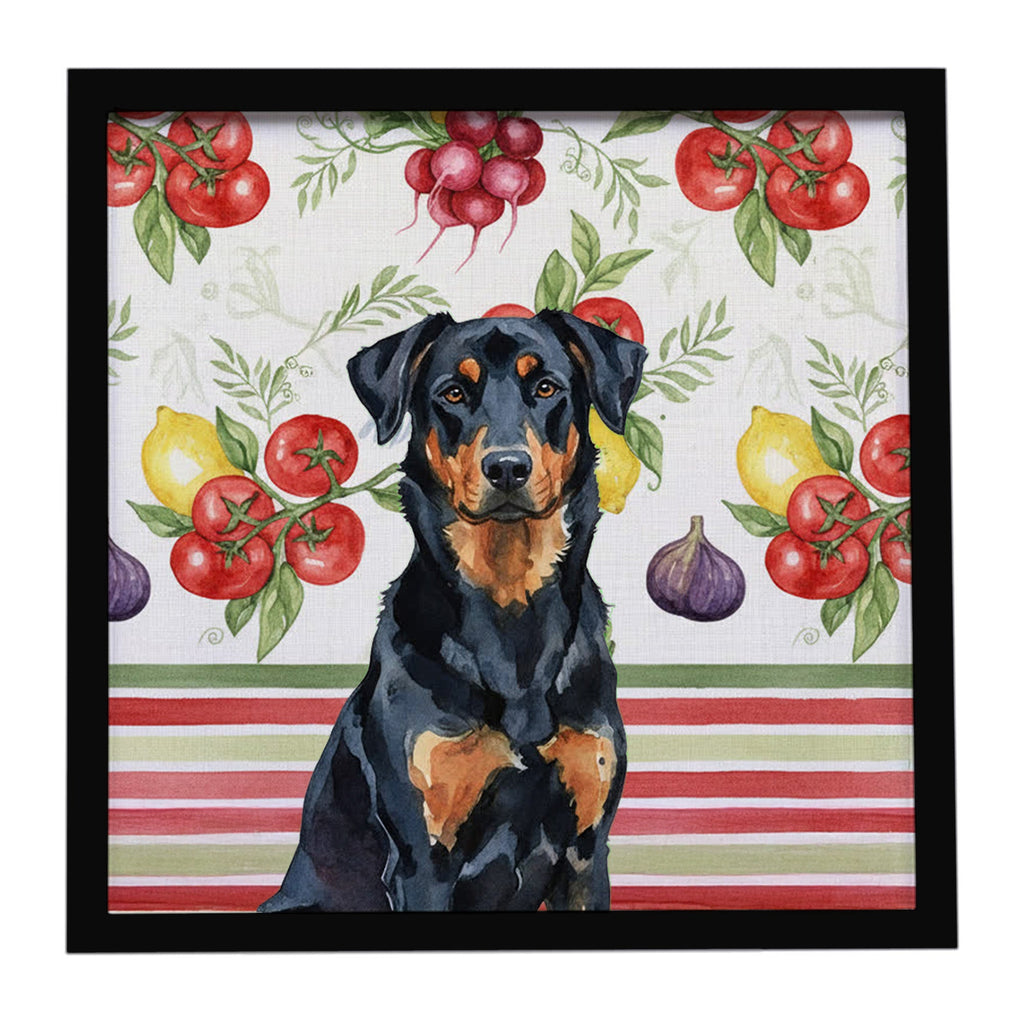 Beauceron Vegetables Framed Metal Print Bathroom, Kitchen, Office, Home Decor Wall Art Ready to Hang, Square, 8X8