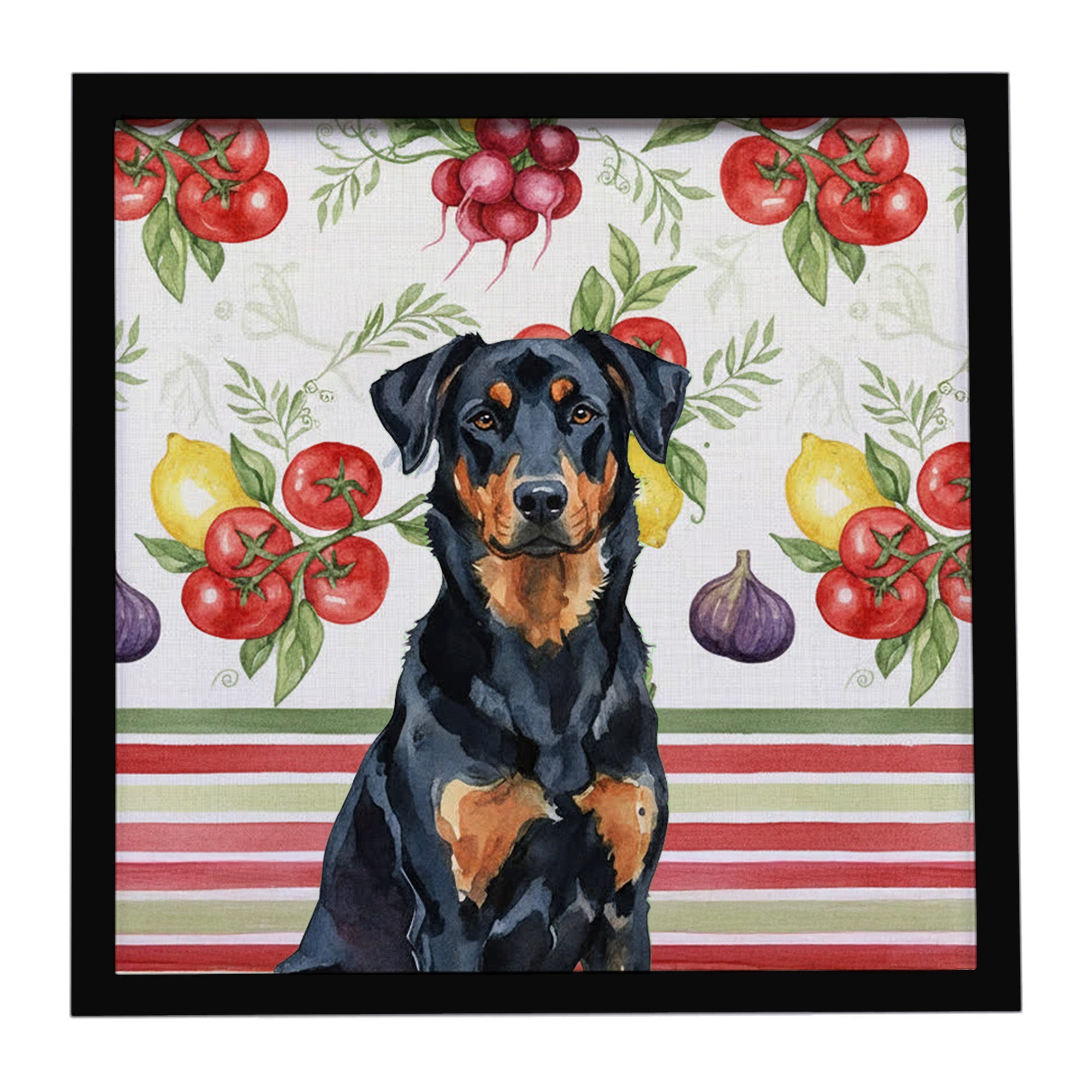 Beauceron Vegetables Framed Metal Print Bathroom, Kitchen, Office, Home Decor Wall Art Ready to Hang, Square, 8X8