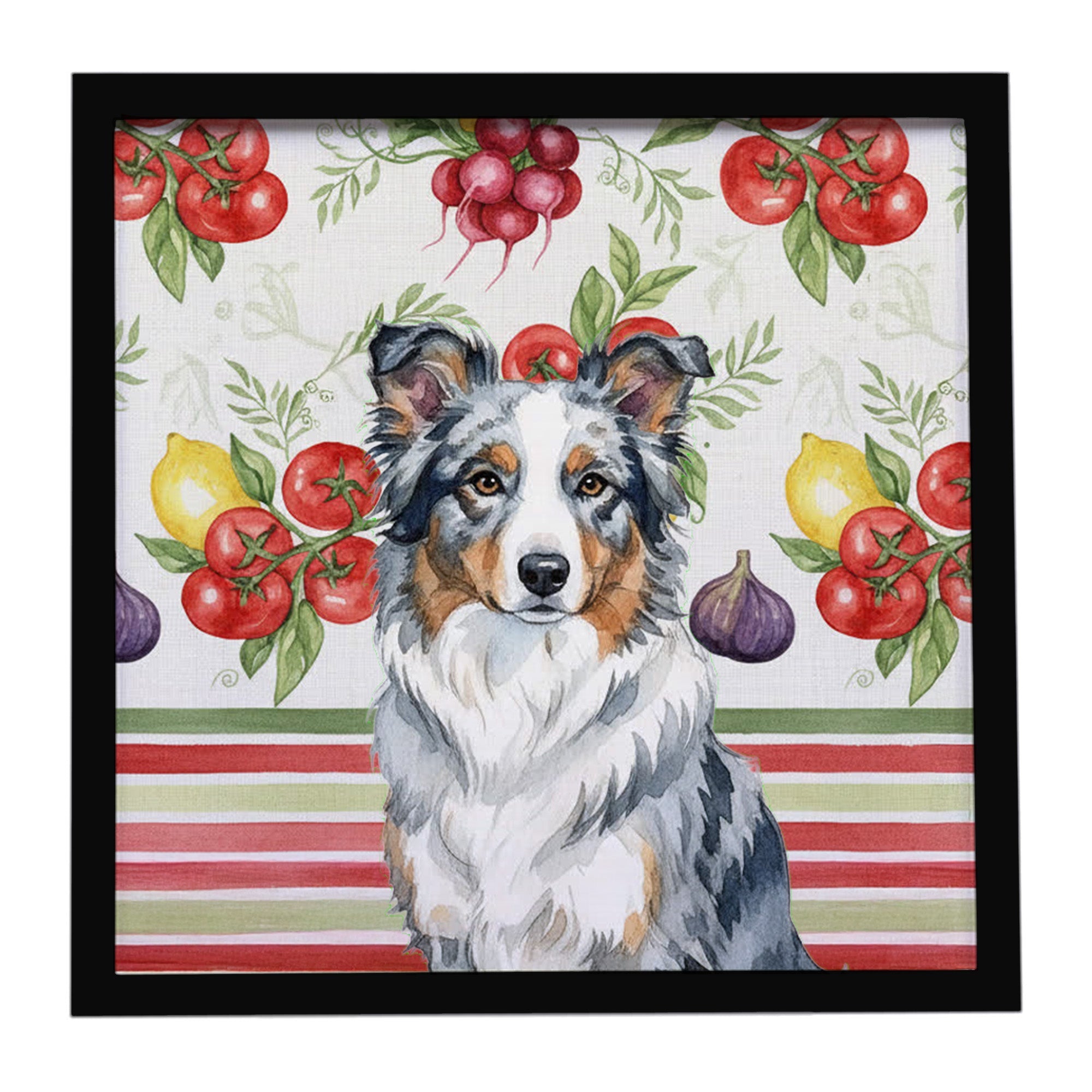 Blue Merle Border Collie Vegetables Framed Metal Print Bathroom, Kitchen, Office, Home Decor Wall Art Ready to Hang, Square, 8X8