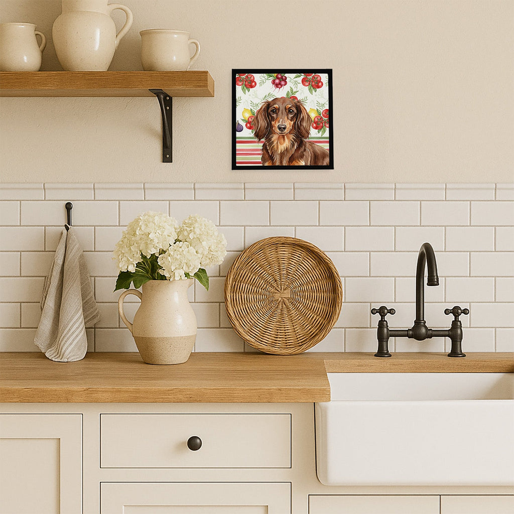 Longhaired Chocolate and Tan Dachshund Vegetables Framed Metal Print Bathroom, Kitchen, Office, Home Decor Wall Art Ready to Hang, Square, 8X8