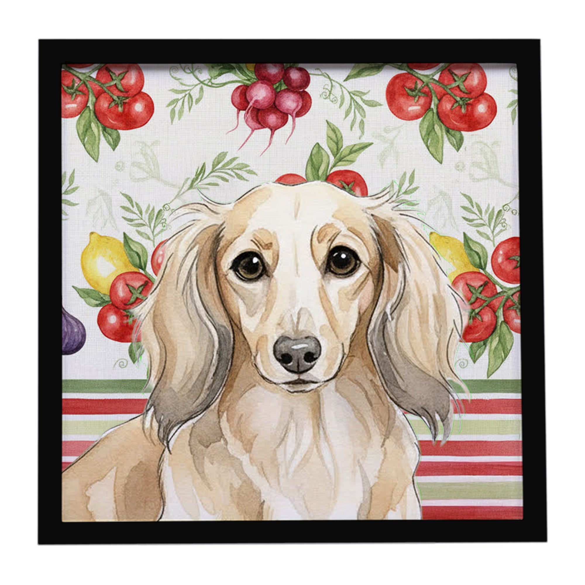 Longhaired Cream Dachshund Vegetables Framed Metal Print Bathroom, Kitchen, Office, Home Decor Wall Art Ready to Hang, Square, 8X8