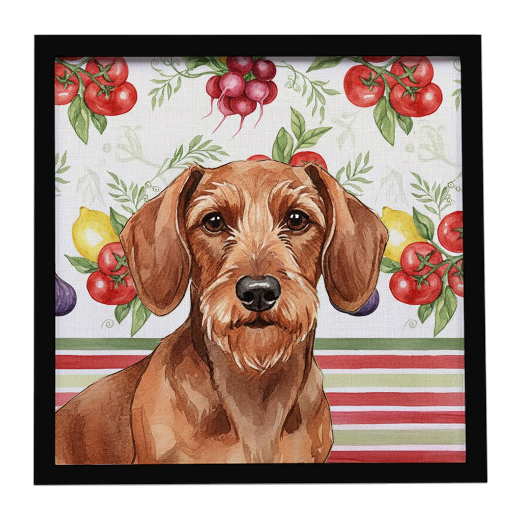 Wirehaired Red Dachshund Vegetables Framed Metal Print Bathroom, Kitchen, Office, Home Decor Wall Art Ready to Hang, Square, 8X8