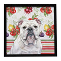 White English Bulldog Vegetables Framed Metal Print Bathroom, Kitchen, Office, Home Decor Wall Art Ready to Hang, Square, 8X8
