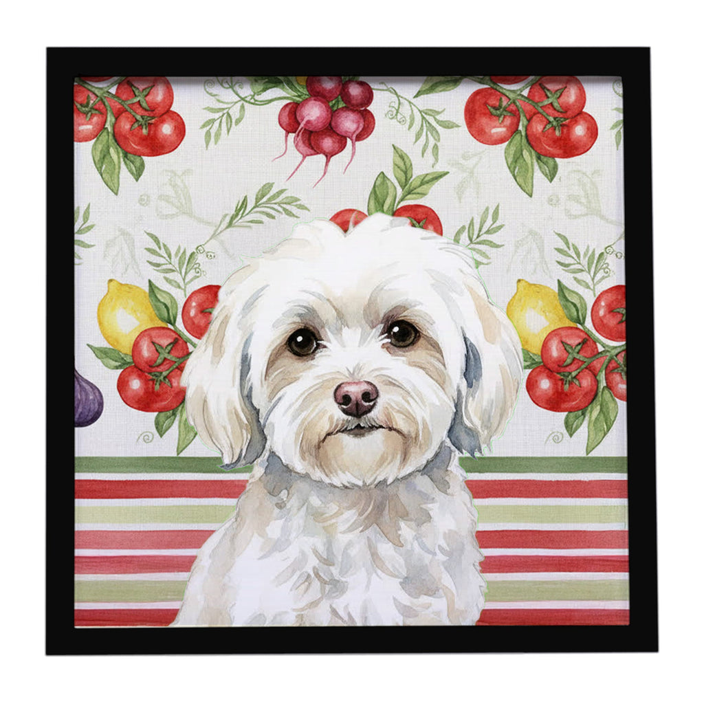 White Havanese Vegetables Framed Metal Print Bathroom, Kitchen, Office, Home Decor Wall Art Ready to Hang, Square, 8X8