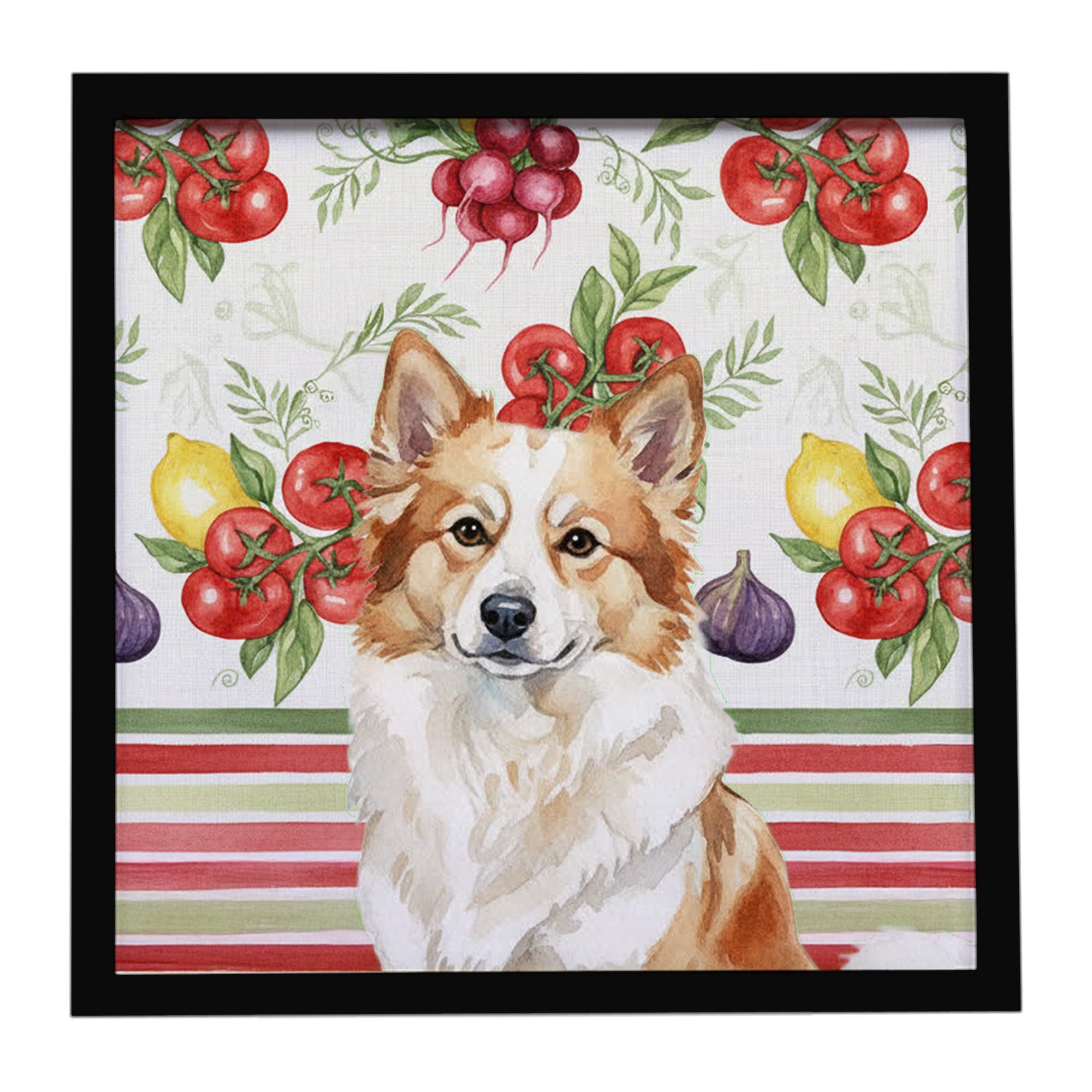 Tan Icelandic Sheepdog Vegetables Framed Metal Print Bathroom, Kitchen, Office, Home Decor Wall Art Ready to Hang, Square, 8X8