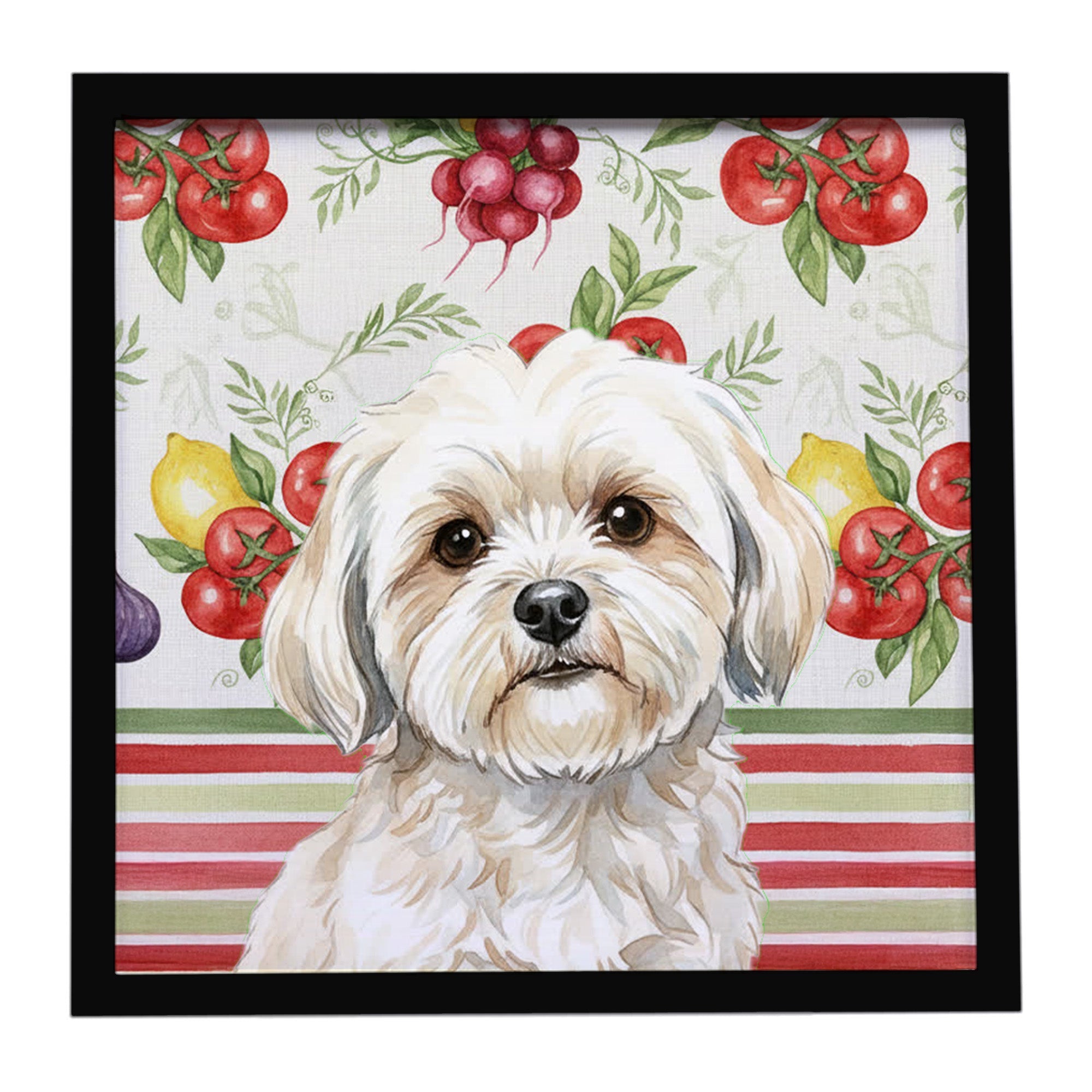 White Lhasa Apso Vegetables Framed Metal Print Bathroom, Kitchen, Office, Home Decor Wall Art Ready to Hang, Square, 8X8