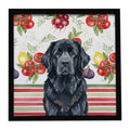 Black Newfoundland Vegetables Framed Metal Print Bathroom, Kitchen, Office, Home Decor Wall Art Ready to Hang, Square, 8X8