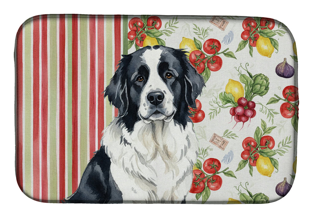 Landseer Newfoundland Vegetables Dish Drying Mat Absorbent Dish Drying Mat Pad for Kitchen Counter Dish Drainer Mat for Countertop, 14 x 21", Multicolor