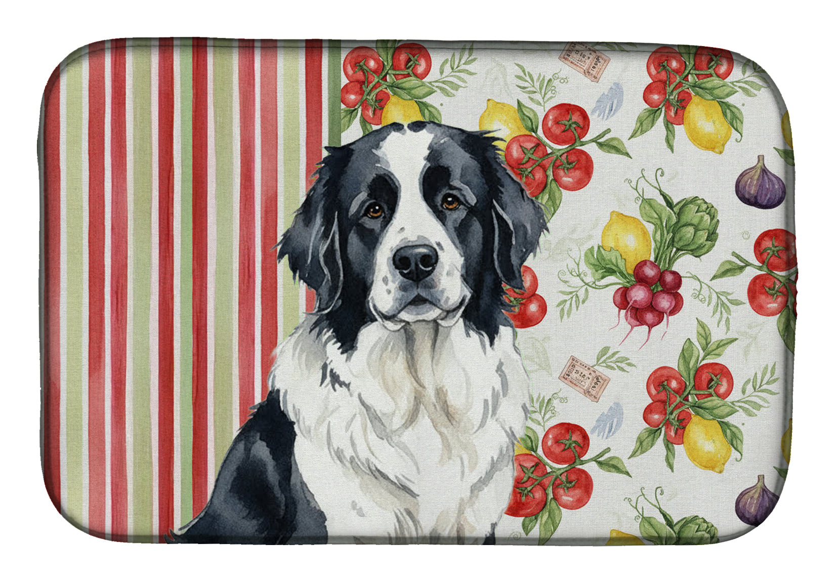Landseer Newfoundland Vegetables Dish Drying Mat Absorbent Dish Drying Mat Pad for Kitchen Counter Dish Drainer Mat for Countertop, 14 x 21", Multicolor