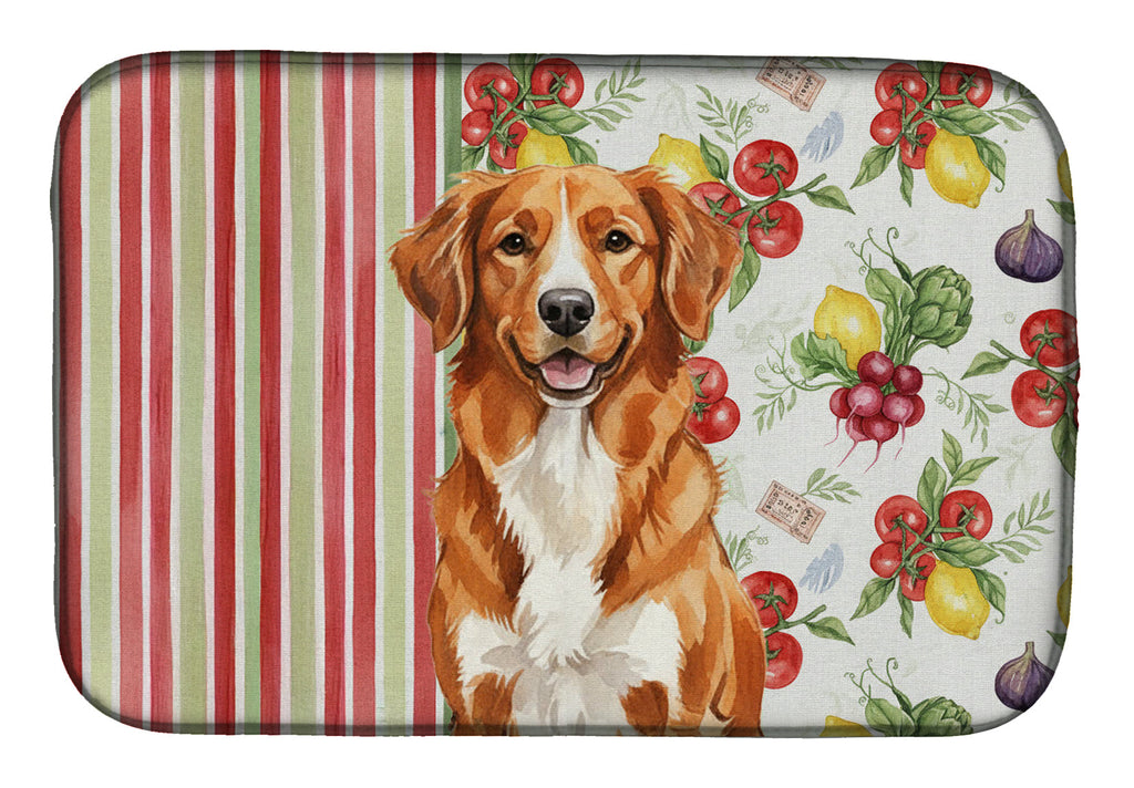 Orange Nova Scotia Duck Tolling Retriever Vegetables Dish Drying Mat Absorbent Dish Drying Mat Pad for Kitchen Counter Dish Drainer Mat for Countertop, 14 x 21", Multicolor