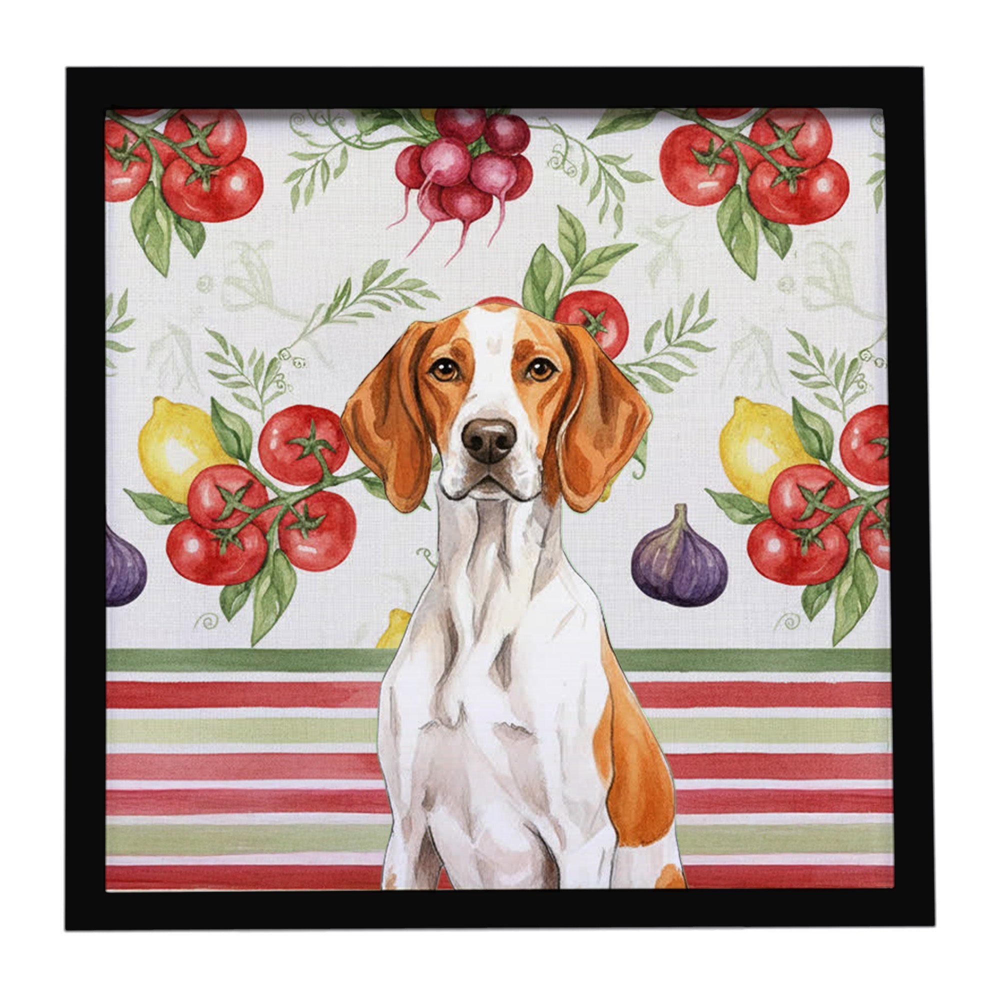 Orange and White Pointer Vegetables Framed Metal Print Bathroom, Kitchen, Office, Home Decor Wall Art Ready to Hang, Square, 8X8