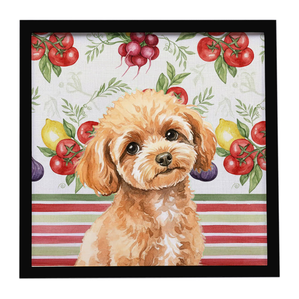 Toy Apricot Poodle Vegetables Framed Metal Print Bathroom, Kitchen, Office, Home Decor Wall Art Ready to Hang, Square, 8X8