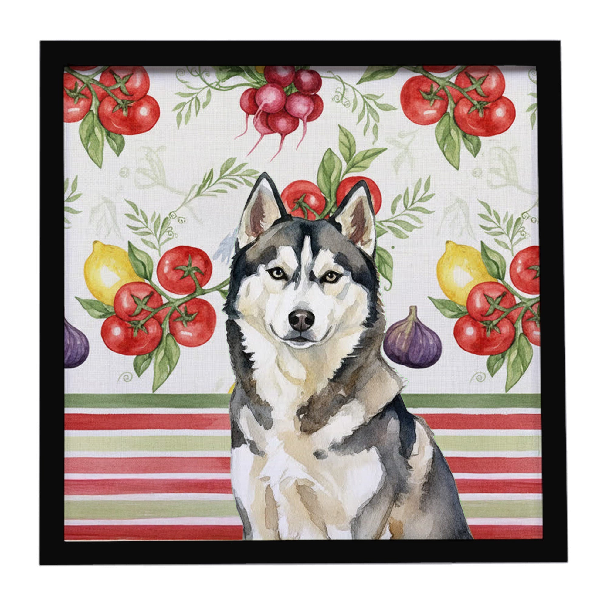 Agouti Siberian Husky Vegetables Framed Metal Print Bathroom, Kitchen, Office, Home Decor Wall Art Ready to Hang, Square, 8X8