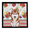Red and White Siberian Husky Vegetables Framed Metal Print Bathroom, Kitchen, Office, Home Decor Wall Art Ready to Hang, Square, 8X8