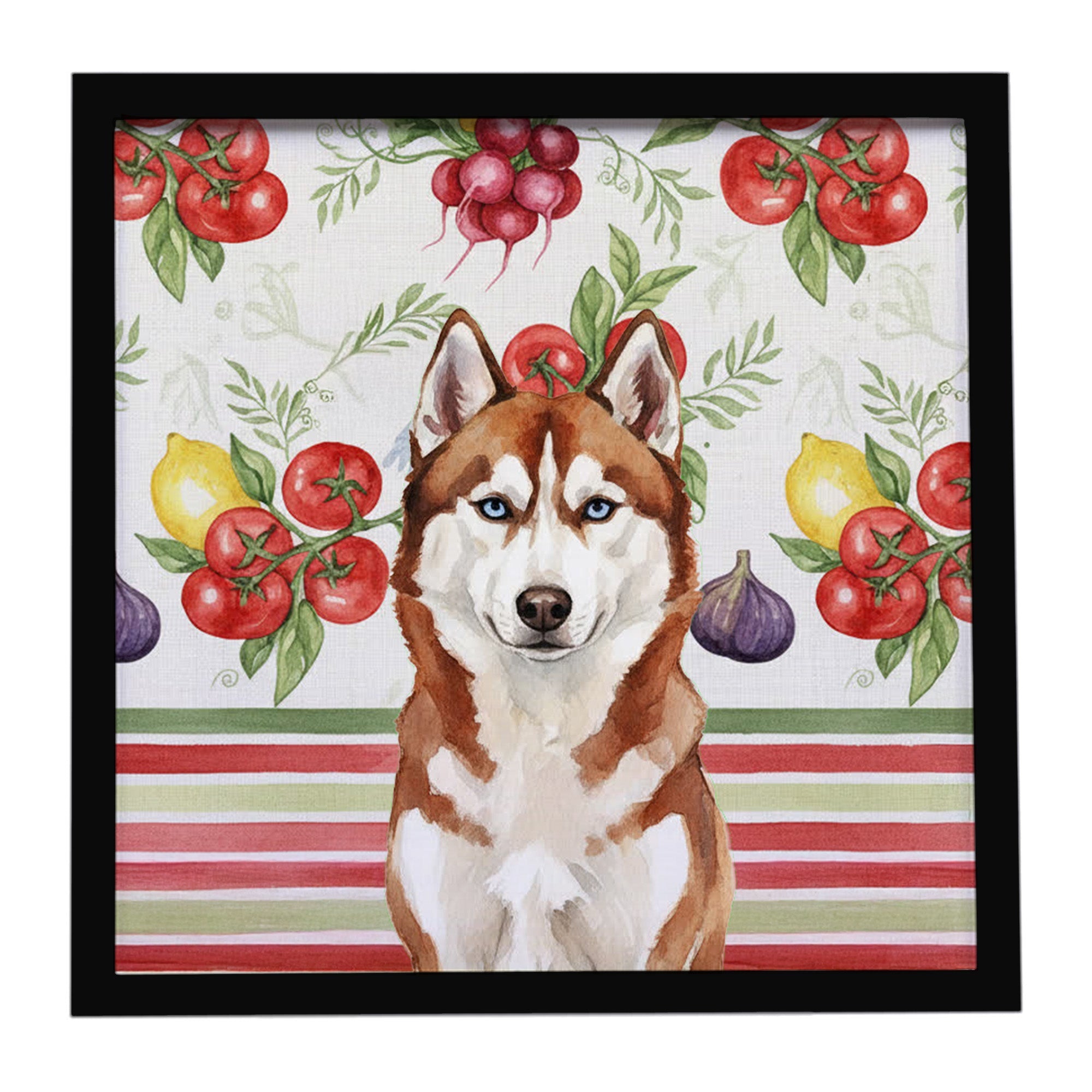 Red and White Siberian Husky Vegetables Framed Metal Print Bathroom, Kitchen, Office, Home Decor Wall Art Ready to Hang, Square, 8X8