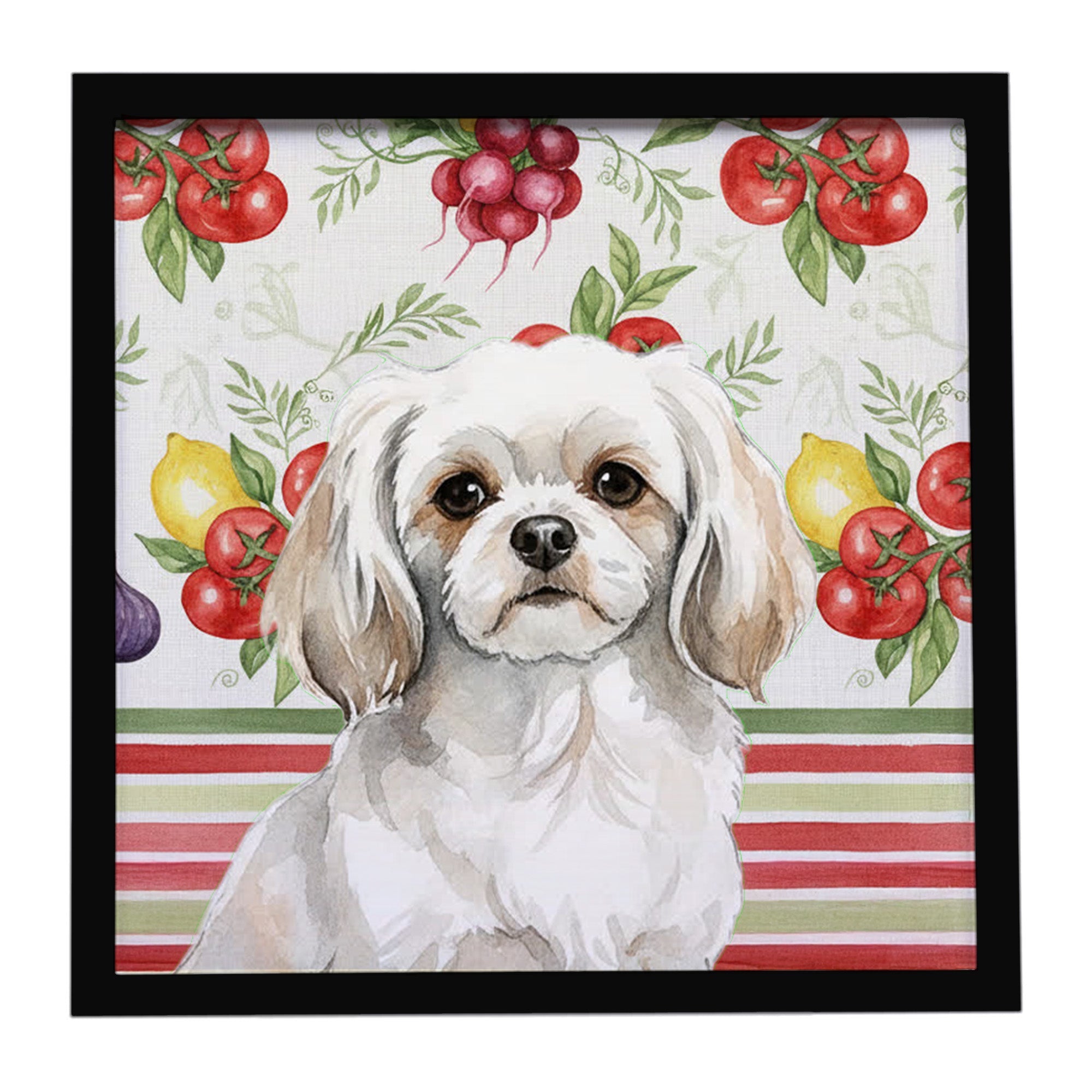 White Tibetan Spaniel Vegetables Framed Metal Print Bathroom, Kitchen, Office, Home Decor Wall Art Ready to Hang, Square, 8X8