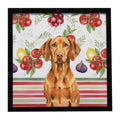 Vizsla Vegetables Framed Metal Print Bathroom, Kitchen, Office, Home Decor Wall Art Ready to Hang, Square, 8X8