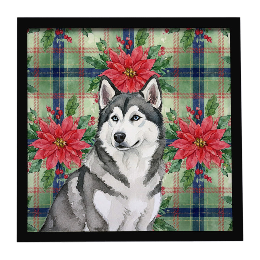 Gray and White Alaskan Malamute Christmas PoinsettIas Framed Metal Print Bathroom, Kitchen, Office, Home Decor Wall Art Ready to Hang, Square, 8X8