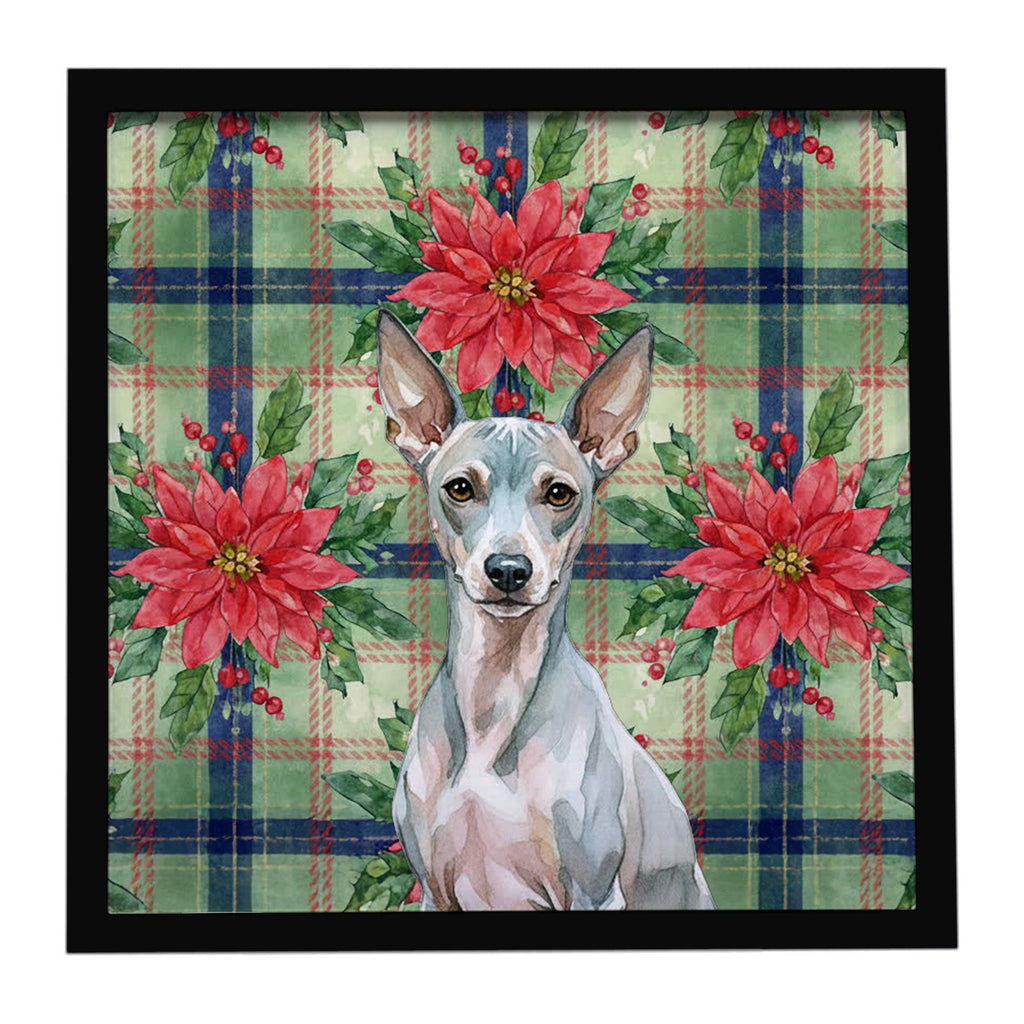 American Hairless Terrier Christmas PoinsettIas Framed Metal Print Bathroom, Kitchen, Office, Home Decor Wall Art Ready to Hang, Square, 8X8