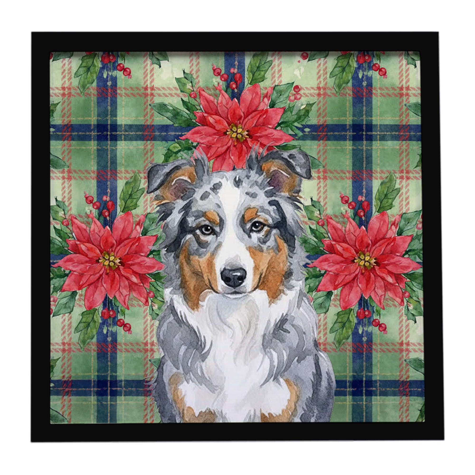 Blue Merle American Shepherd Christmas PoinsettIas Framed Metal Print Bathroom, Kitchen, Office, Home Decor Wall Art Ready to Hang, Square, 8X8