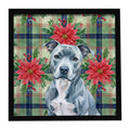 Blue American Staffordshire Terrier Christmas PoinsettIas Framed Metal Print Bathroom, Kitchen, Office, Home Decor Wall Art Ready to Hang, Square, 8X8