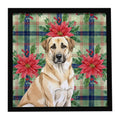 Anatolian Shepherd Dog Christmas PoinsettIas Framed Metal Print Bathroom, Kitchen, Office, Home Decor Wall Art Ready to Hang, Square, 8X8