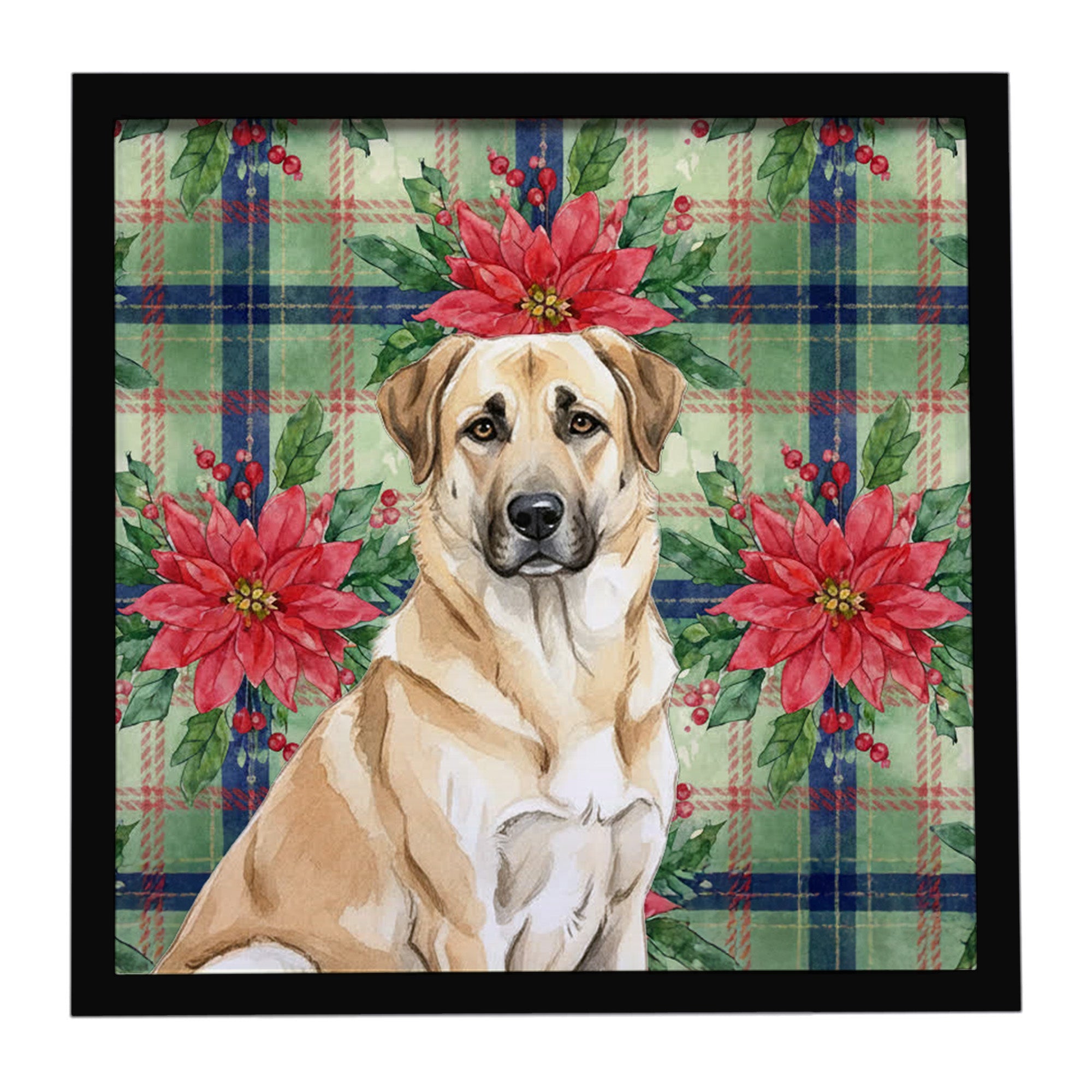 Anatolian Shepherd Dog Christmas PoinsettIas Framed Metal Print Bathroom, Kitchen, Office, Home Decor Wall Art Ready to Hang, Square, 8X8