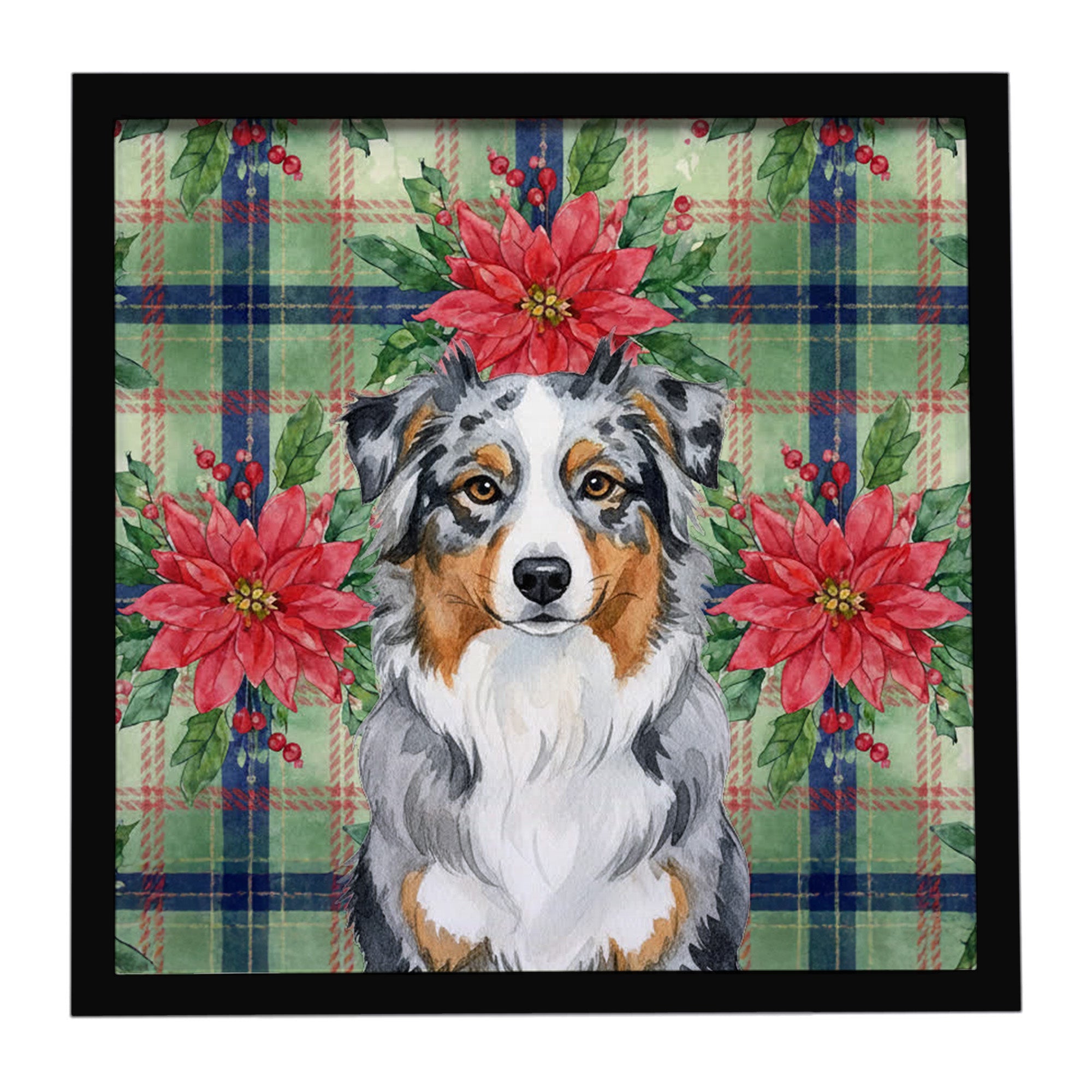 Blue Merle Australian Shepherd Christmas PoinsettIas Framed Metal Print Bathroom, Kitchen, Office, Home Decor Wall Art Ready to Hang, Square, 8X8