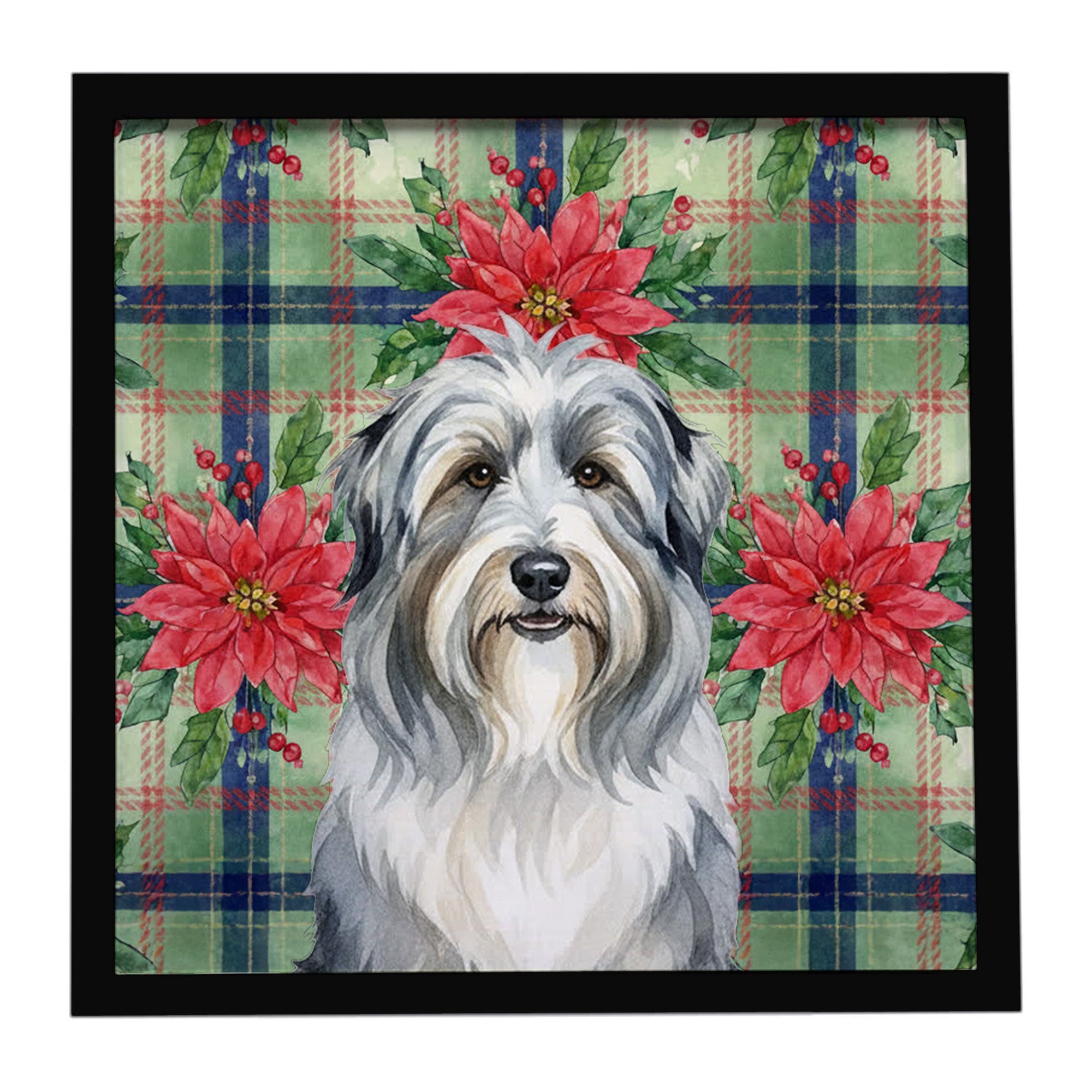 Bearded Collie Christmas PoinsettIas Framed Metal Print Bathroom, Kitchen, Office, Home Decor Wall Art Ready to Hang, Square, 8X8