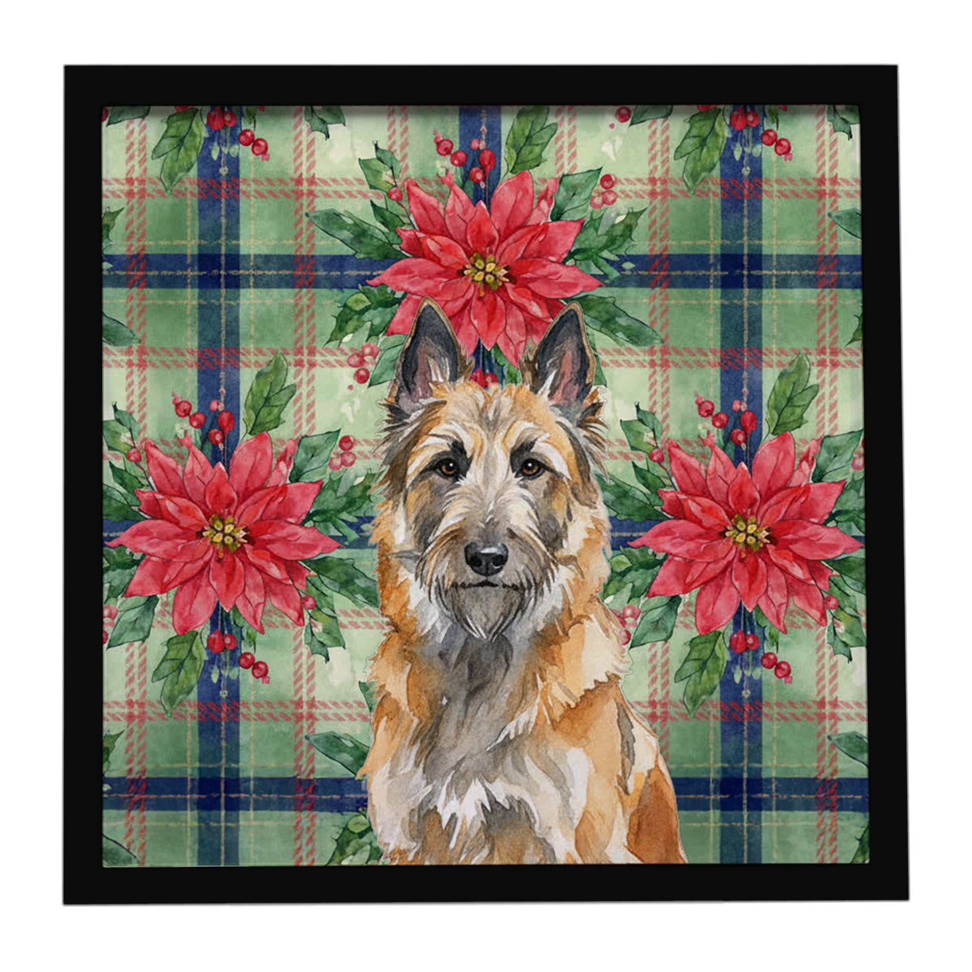Belgian Laekenois Christmas PoinsettIas Framed Metal Print Bathroom, Kitchen, Office, Home Decor Wall Art Ready to Hang, Square, 8X8