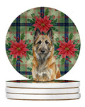 Belgian Laekenois Christmas PoinsettIas Large Sandstone Coasters Pack of 4 Absorbent Round Coasters Decor Gifts for Men or Women, 4 in, Multicolor