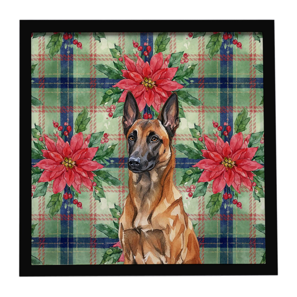 Mahogany Belgian Malinois Christmas PoinsettIas Framed Metal Print Bathroom, Kitchen, Office, Home Decor Wall Art Ready to Hang, Square, 8X8