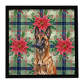 Mahogany Belgian Malinois Christmas PoinsettIas Framed Metal Print Bathroom, Kitchen, Office, Home Decor Wall Art Ready to Hang, Square, 8X8