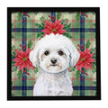Bichon Frise Christmas PoinsettIas Framed Metal Print Bathroom, Kitchen, Office, Home Decor Wall Art Ready to Hang, Square, 8X8