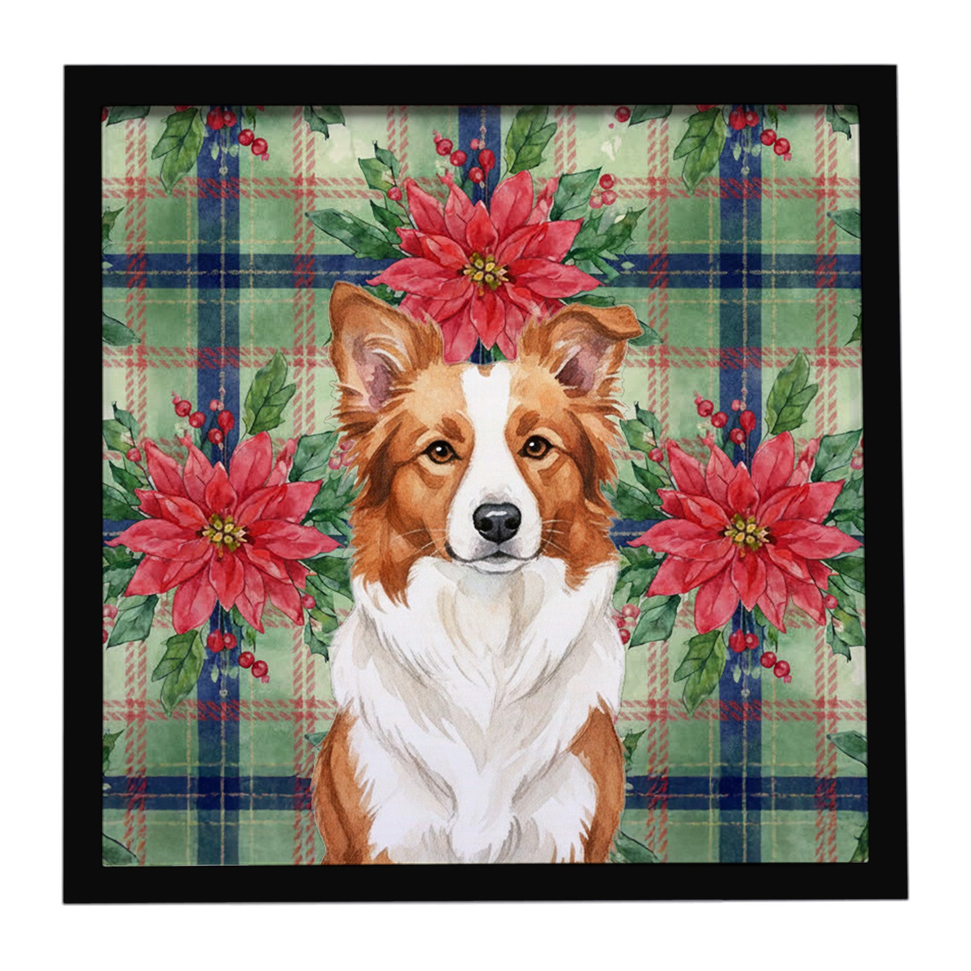 Red and White Border Collie Christmas PoinsettIas Framed Metal Print Bathroom, Kitchen, Office, Home Decor Wall Art Ready to Hang, Square, 8X8