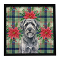 Gray Bouvier des Flandres Christmas PoinsettIas Framed Metal Print Bathroom, Kitchen, Office, Home Decor Wall Art Ready to Hang, Square, 8X8